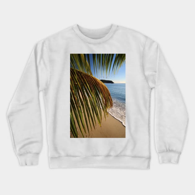 Fronds Crewneck Sweatshirt by Geoff79